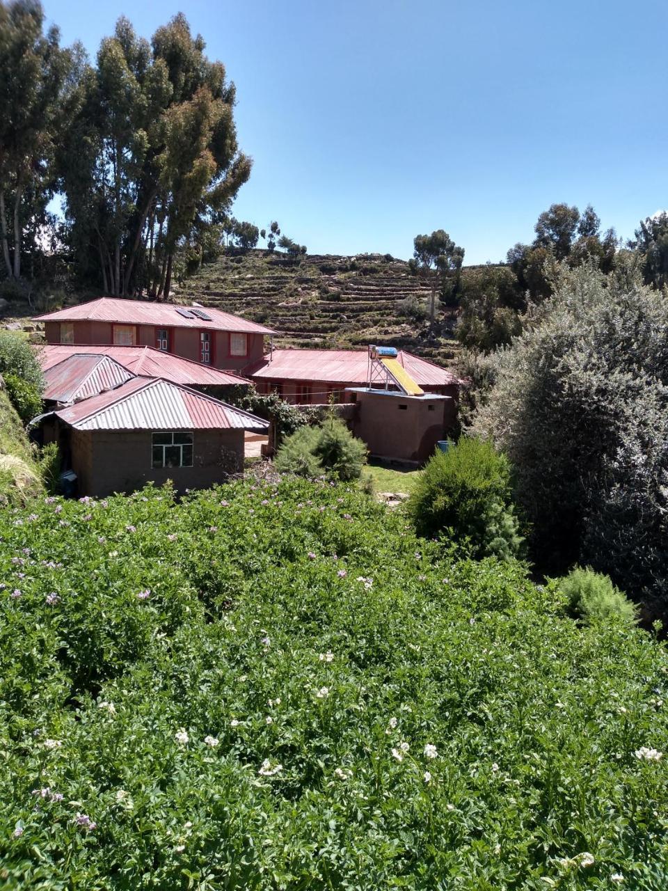 Taquile Familia Celso Hotel Huillanopampa Exterior photo